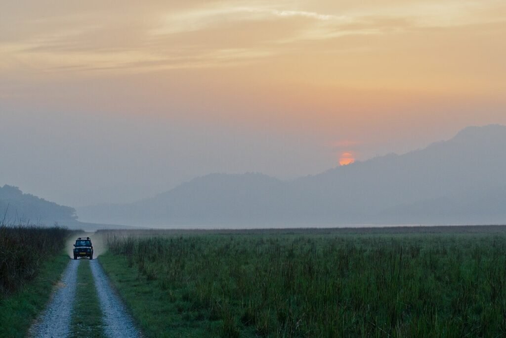 Sunrise over the grasslands at Dhikala, Jim Corbett National Park