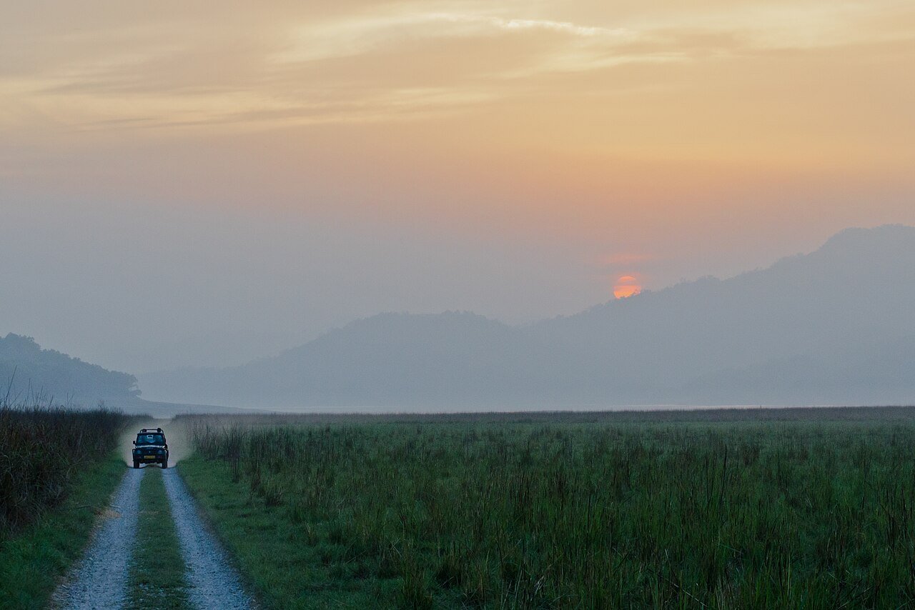 Sunrise over the grasslands at Dhikala, Jim Corbett National Park