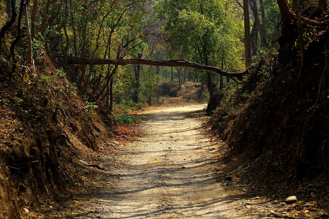 Forest track through one of the Jim Corbett National Park safari zones